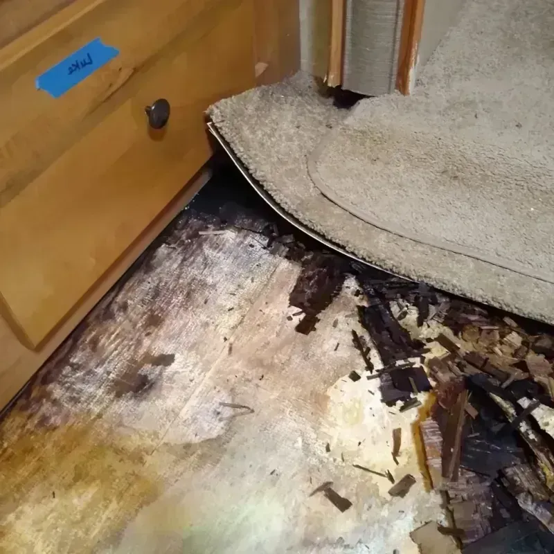 Wood Floor Water Damage in Mauldin, SC